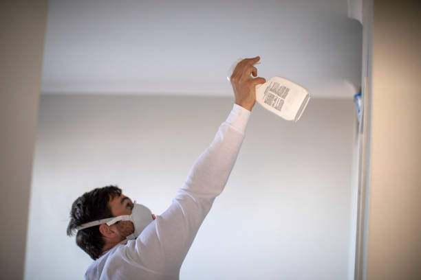 Best Mold Damage Repair  in Dexter, MI