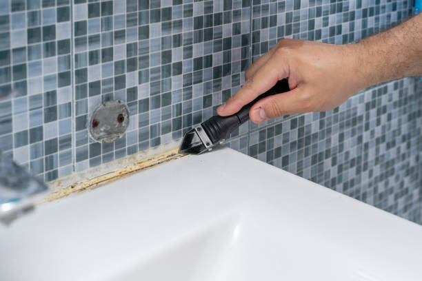 Reliable Dexter, MI Mold Removal Solutions