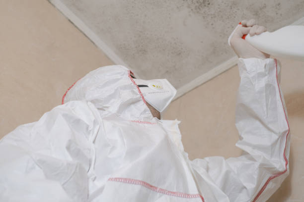 Best Emergency Mold Removal  in Dexter, MI