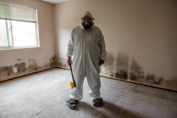 Best Home Mold Removal  in Dexter, MI